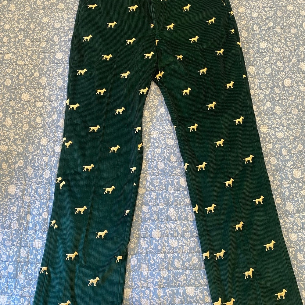 Or is Green Corduroy Pants with Dog Pattern